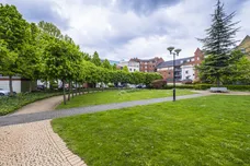 Manor Gardens London N7 photo 13