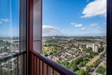 The Eades, 11 Selborne Road London E17 photo 13