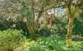 Property image gallery