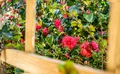 Property image gallery