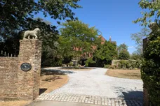 Temple Lane, Capel, RH5 photo 4