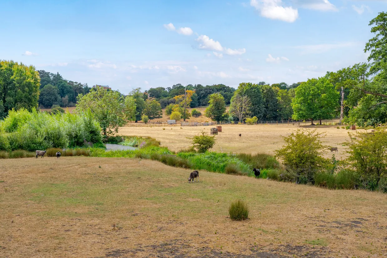 Goldings, Hertford, SG14 photo 18