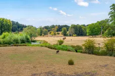 Goldings, Hertford, SG14 photo 18