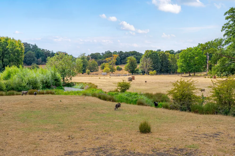 Goldings, Hertford, SG14 photo 18