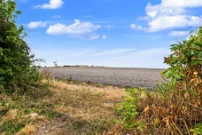 Goose Acre, Cheddington, Leighton Buzzard