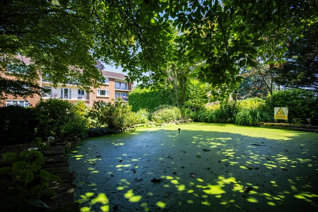 Property photo 11