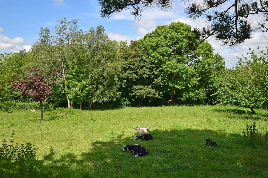 Property Image 27