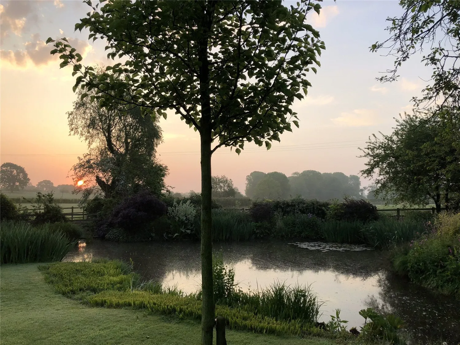 Dallinghoo, Nr Woodbridge, IP13 photo 32
