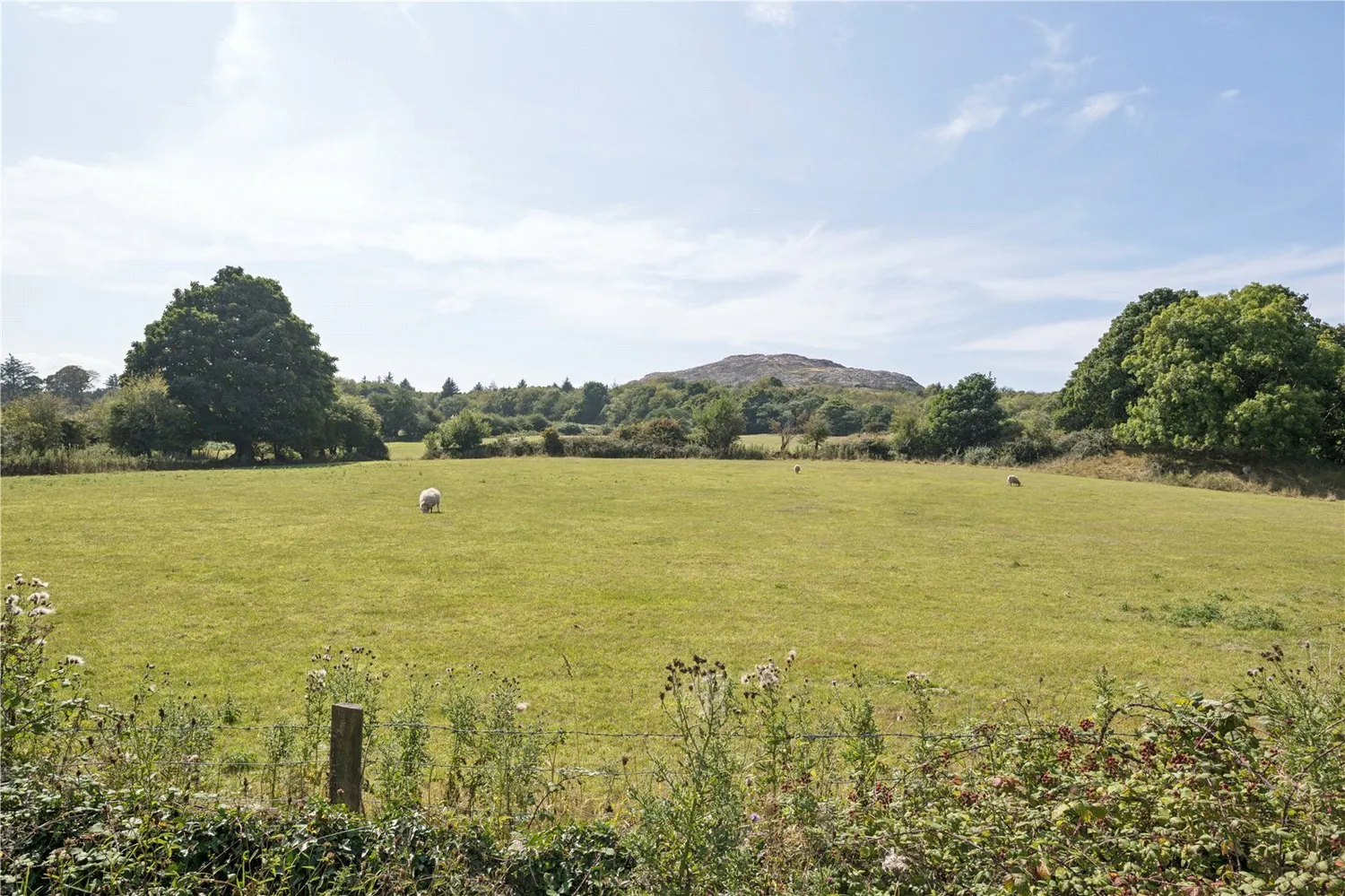 Mynydd Bodafon, Llannerch-y-Medd, LL71 photo 18