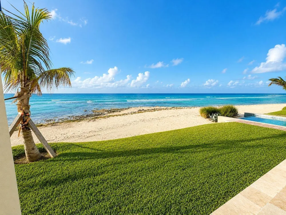 Bimini