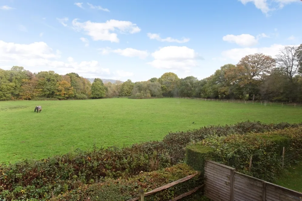 Standon Lane Ockley RH5 photo 13