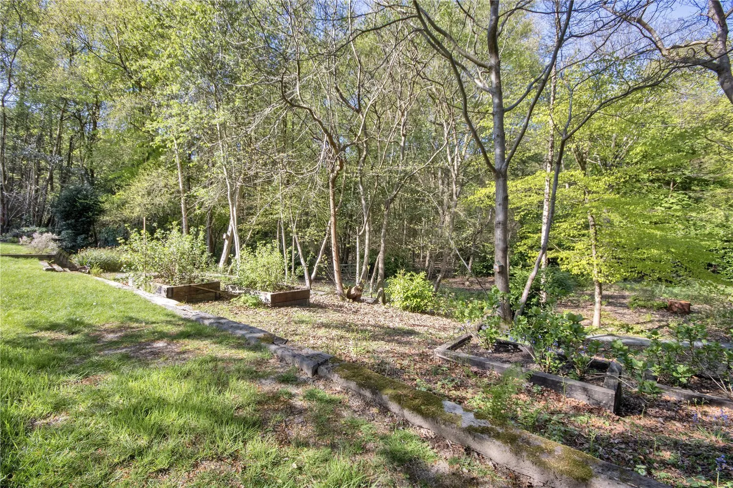 Brattle Wood, Sevenoaks, TN13 photo 26