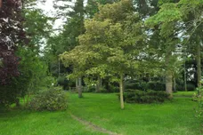 Scoulton Road, Rockland St. Peter, Attleborough