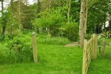 Scoulton Road, Rockland St. Peter, Attleborough