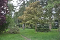 Scoulton Road, Rockland St. Peter, Attleborough