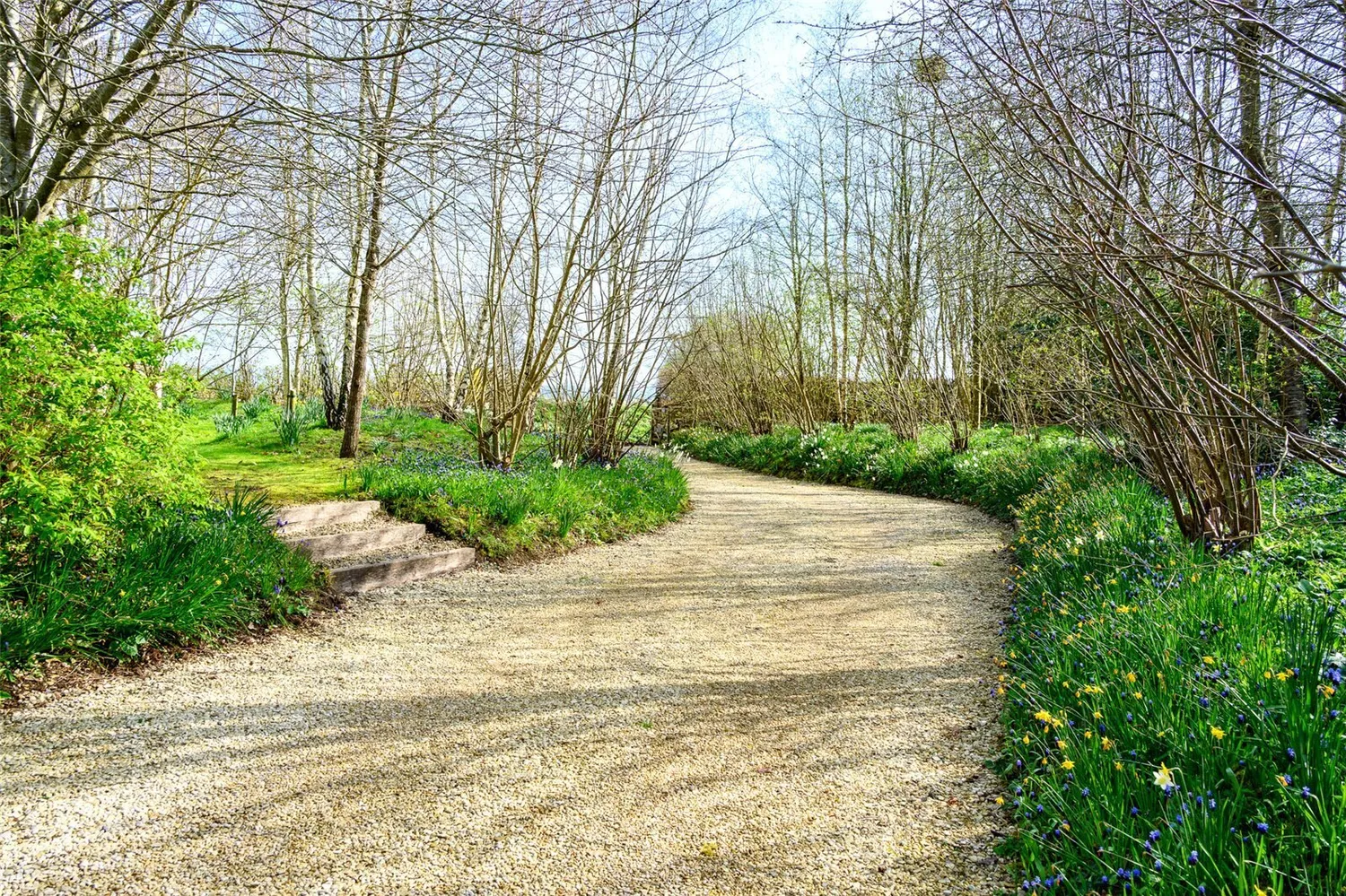 Fiddleford, Sturminster Newton, DT10 photo 4