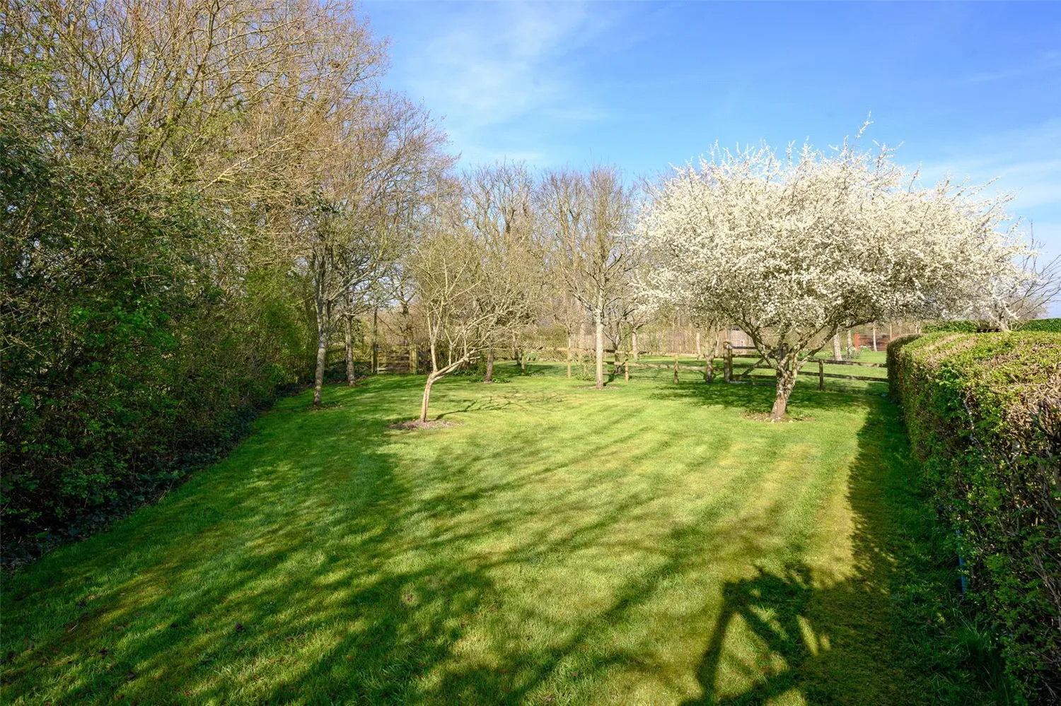 Fiddleford, Sturminster Newton, DT10 photo 9