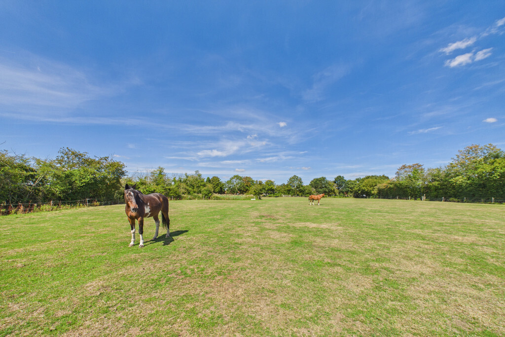 Wangford, Beccles Image 41