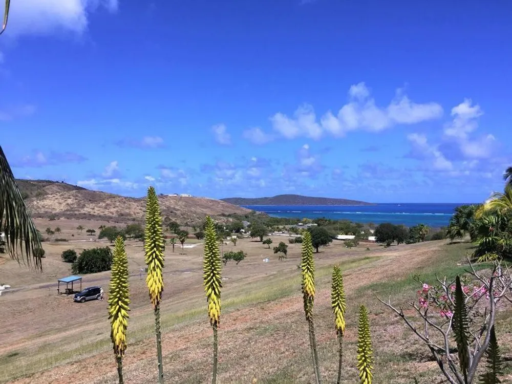 137 Teagues Bay EB, The Reef St. Croix St. Croix