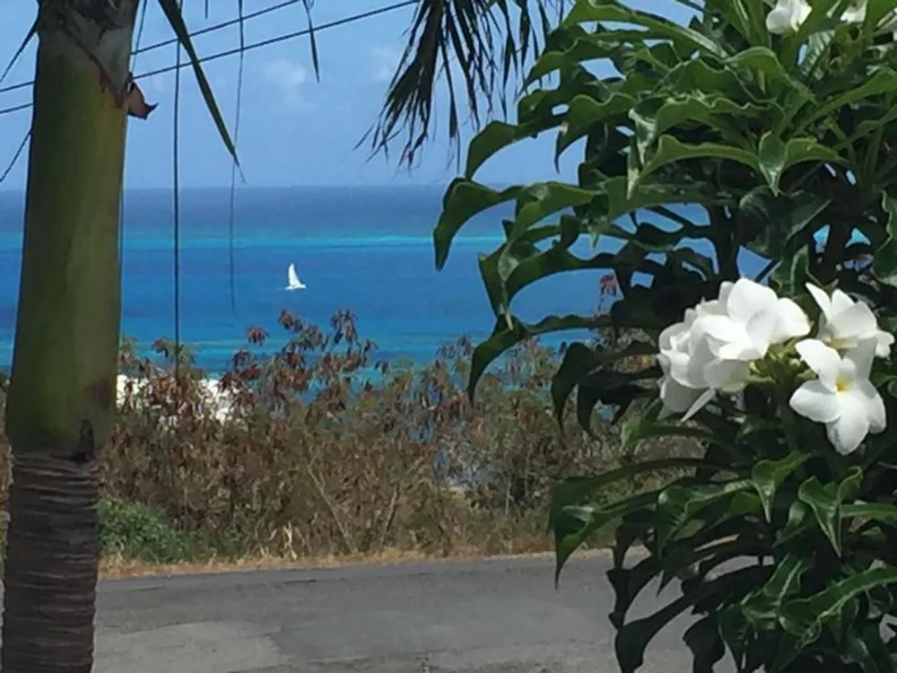 53 Cotton Valley EB St. Croix St. Croix