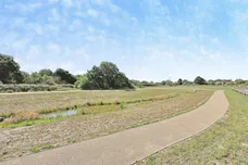 Swanton Drive, Dereham
