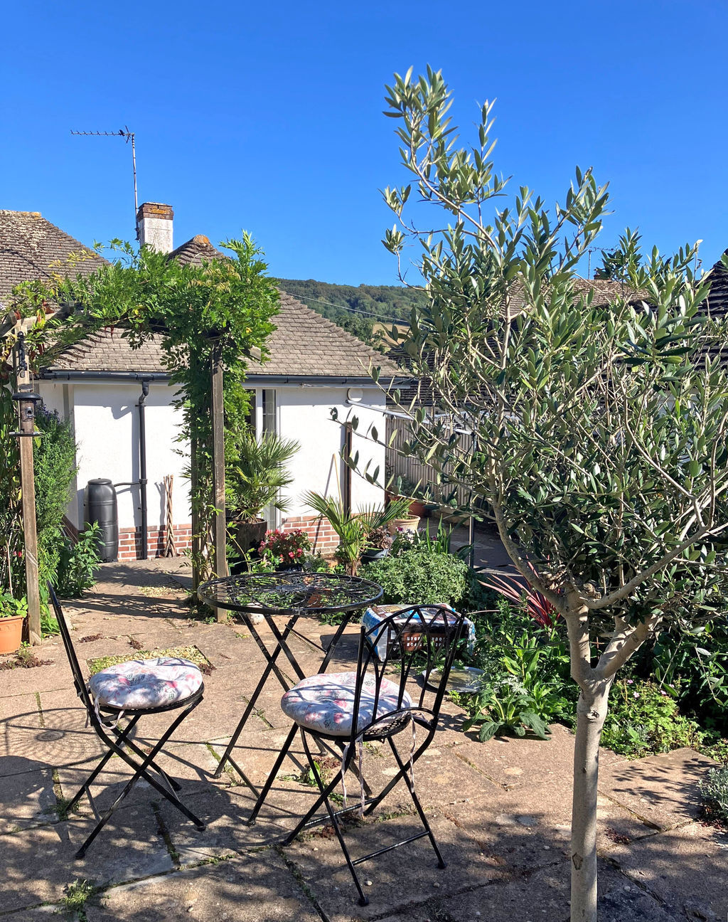 Yarde Close, Sidmouth Image 13