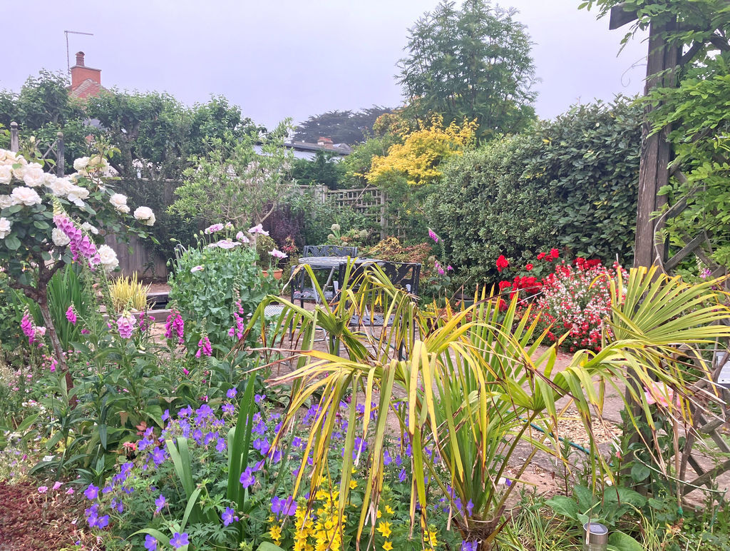 Yarde Close, Sidmouth Image 14