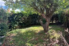 Greenleaf Gardens, Polegate