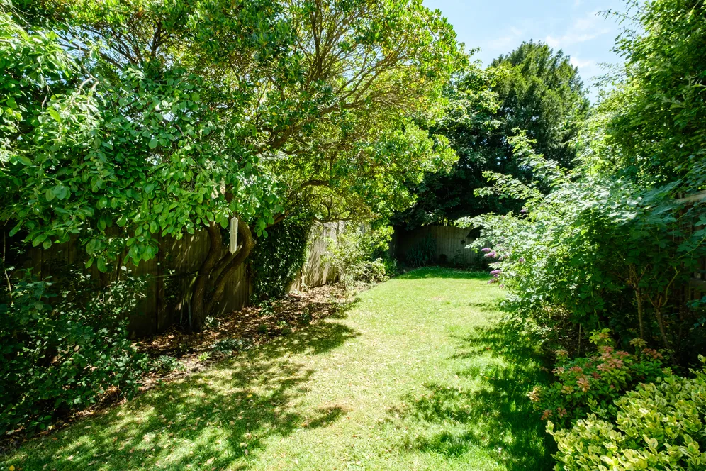 Dashwood Road, London, N8 photo 18