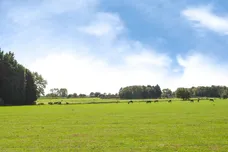 Charmbeck Park Homes, Haveringland, Norwich