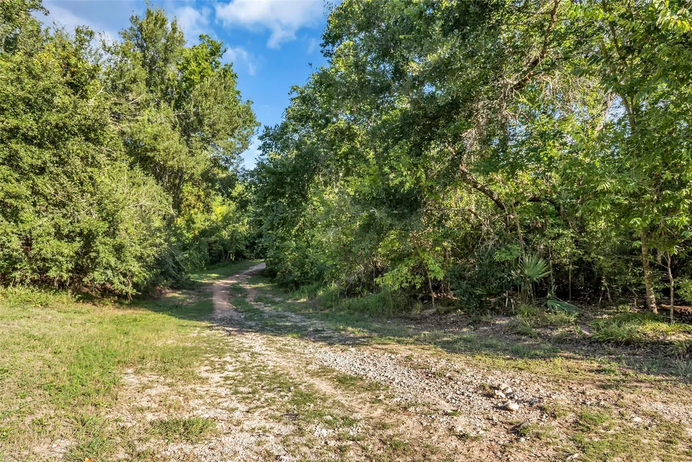12833 Kingsbridge Ln, Houston, TX 77077