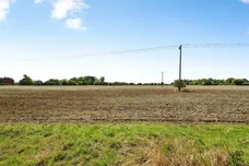 The Common, HARLESTON