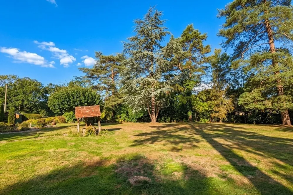 Trout Lane, Horsham, RH13 photo 18