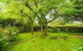 Property image gallery