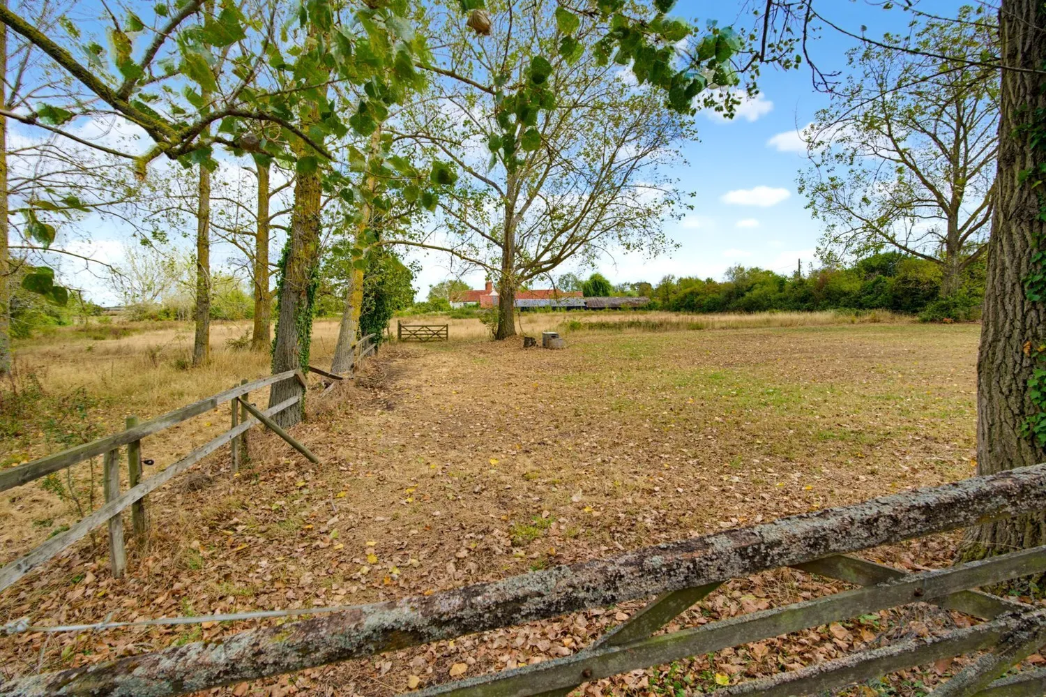 Maldon Road, Great Wigborough, CO5 photo 27