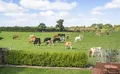 Property image gallery