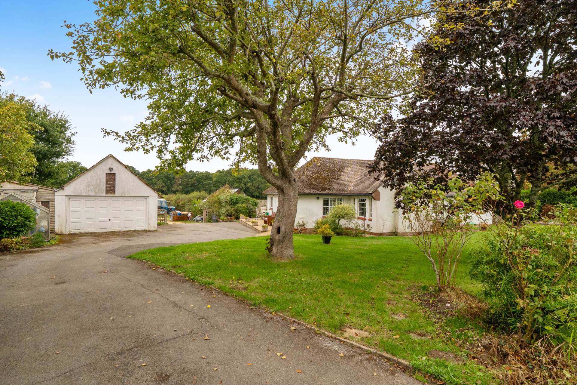 Hale, Hampshire - About 3.9 Acres Image 16