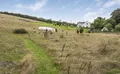 Property image gallery
