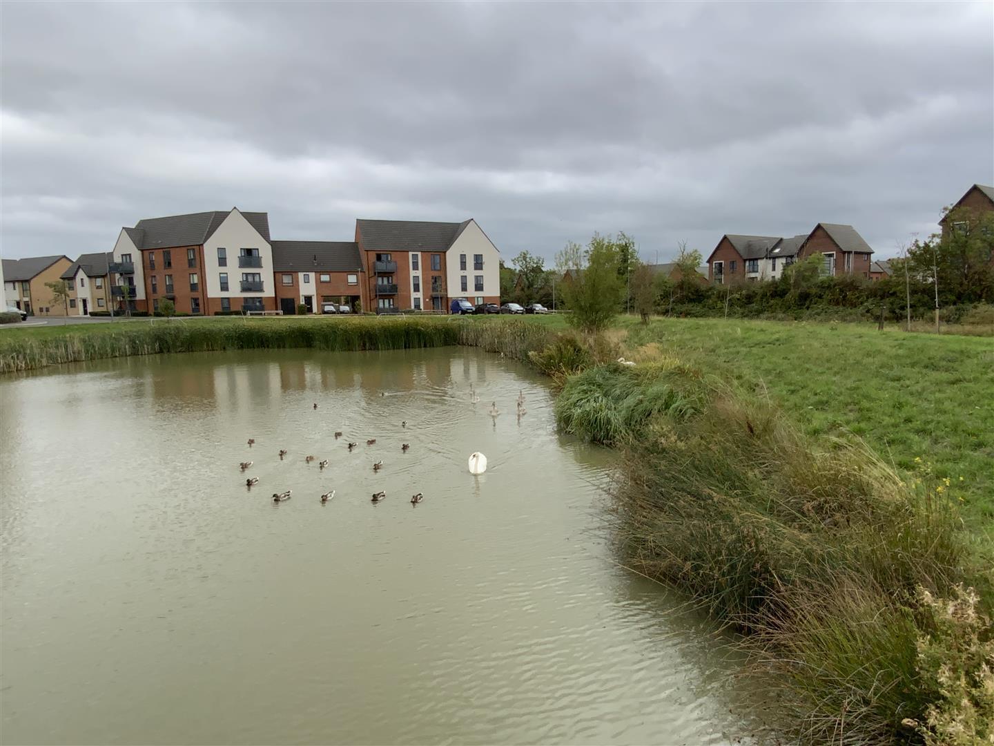 Harris Way, Glebe Farm, Milton Keynes Image 11