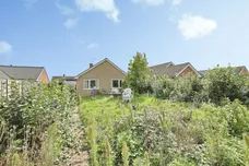 Mill Farm Nurseries, Swaffham