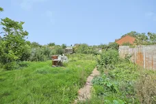 Mill Farm Nurseries, Swaffham