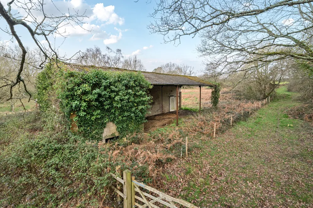 Sherfield English, Romsey, SO51 photo 6