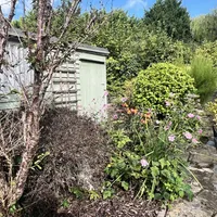 Property 29
