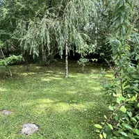 Property 34
