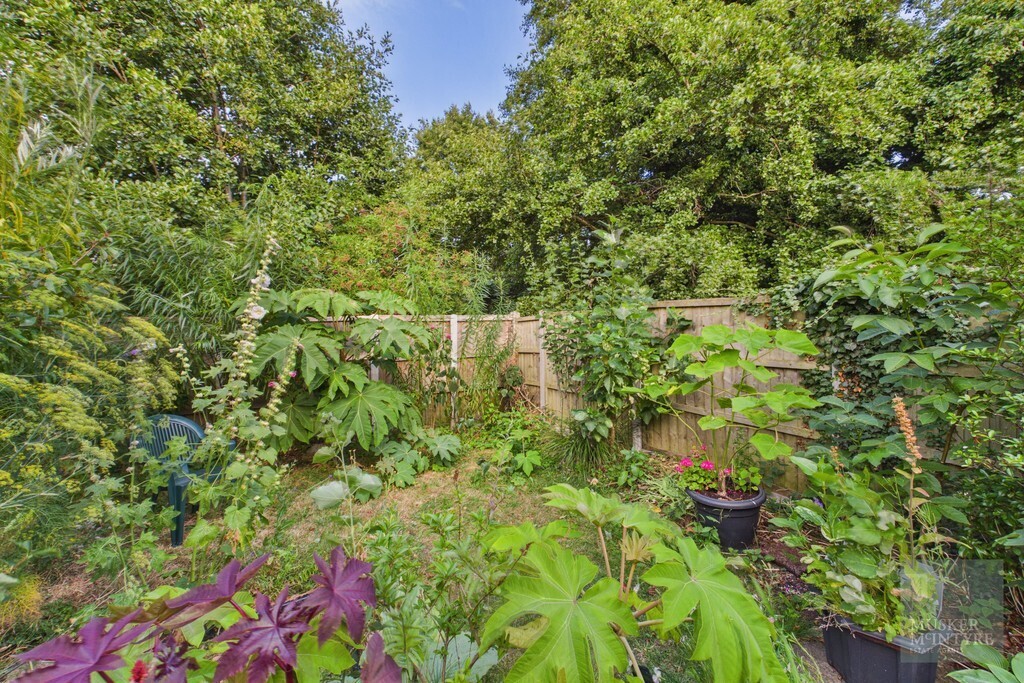 Reeves Close, Bungay Image 13