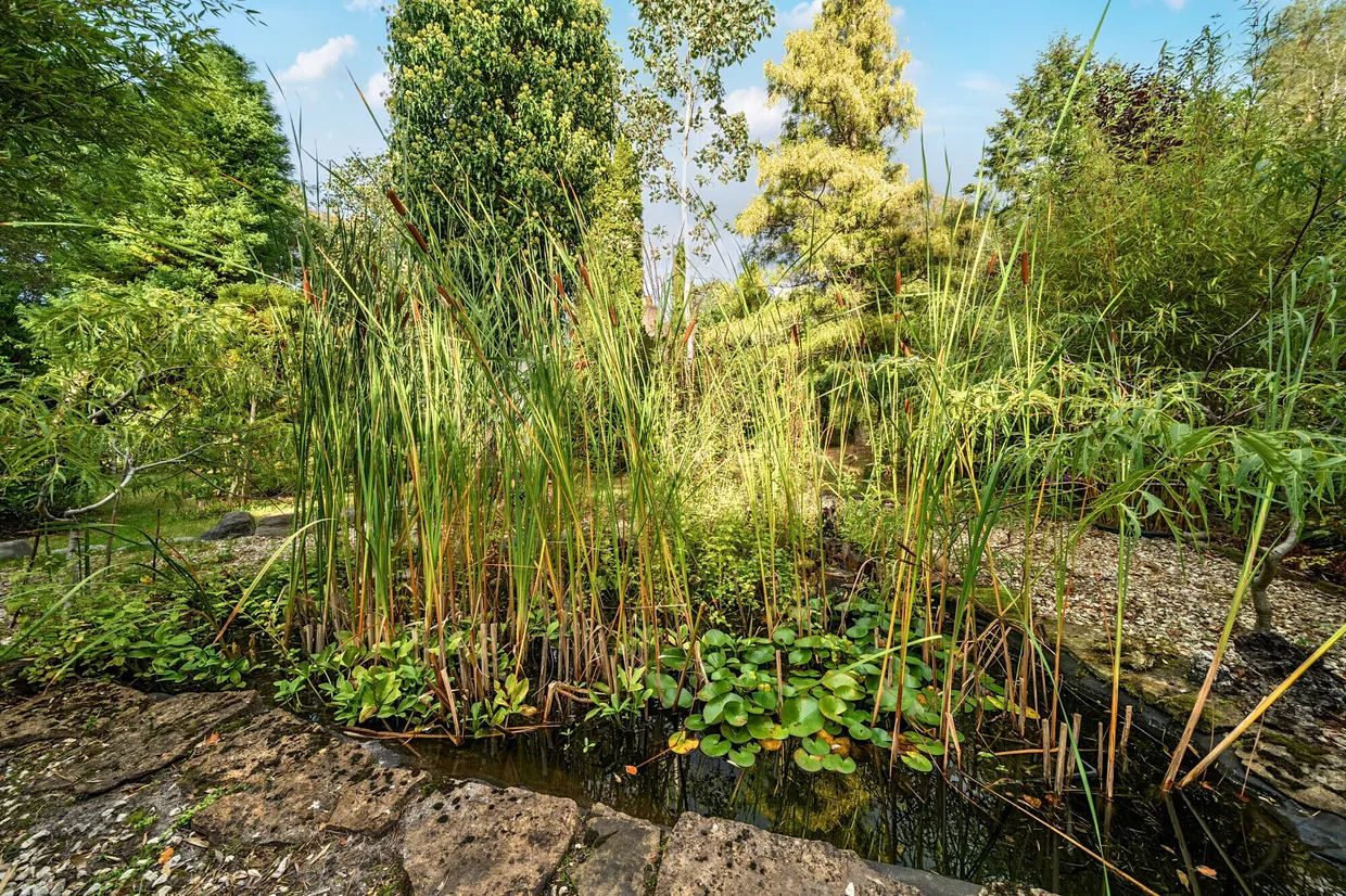 Crosswater Lane, Churt, Farnham, GU10 photo 21
