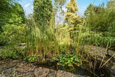 Crosswater Lane, Churt, Farnham, GU10 photo 21