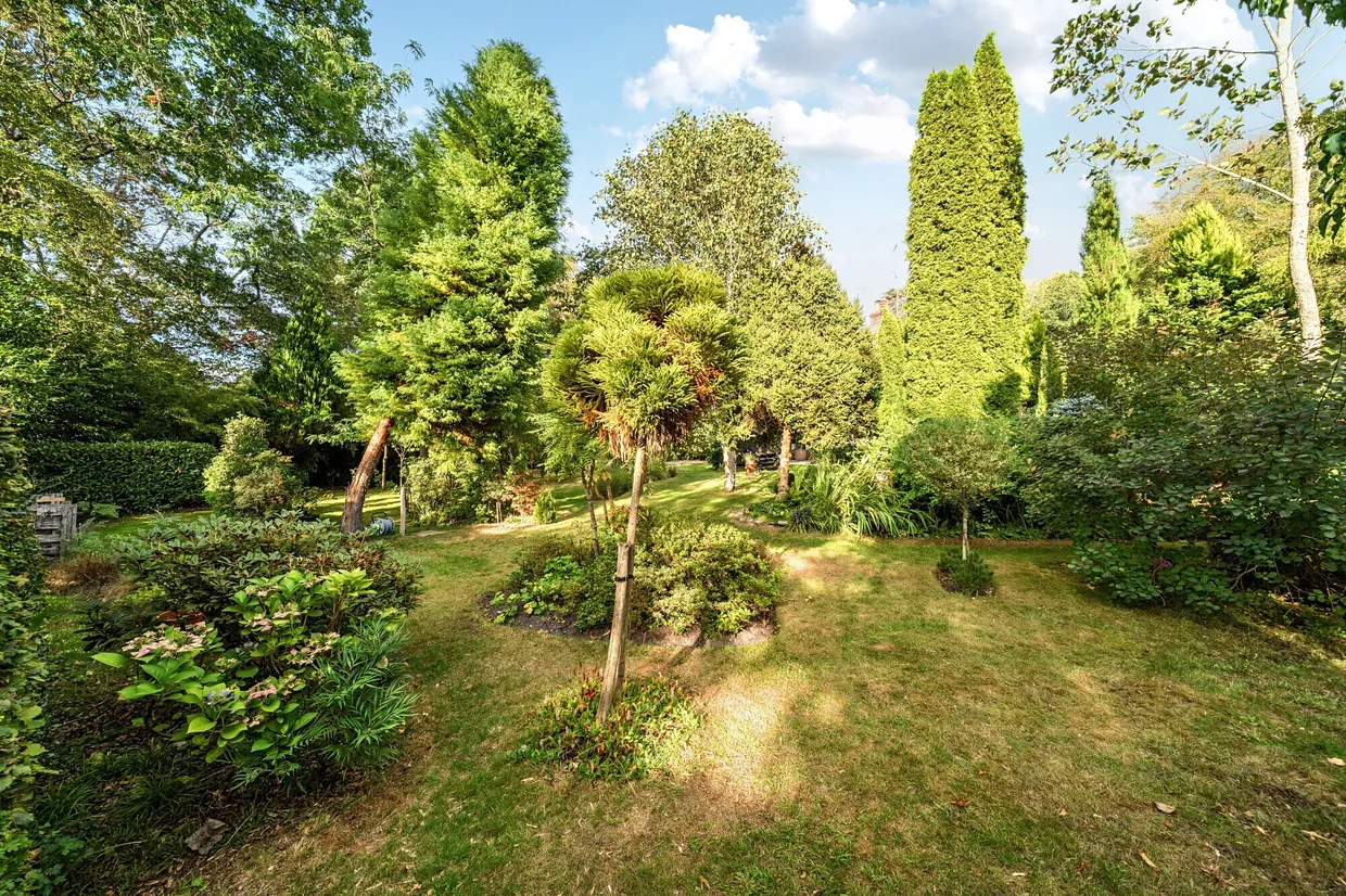 Crosswater Lane, Churt, Farnham, GU10 photo 22