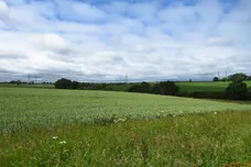 The Willows, Little Harrowden, Wellingborough