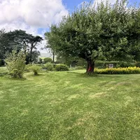 Property 21
